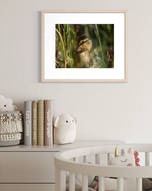 Hovedbilde Kunstprint i Matt Art Print - Motiv Andunge