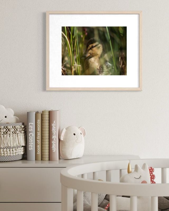Kunstprint i Matt Art Print - Motiv Andunge
