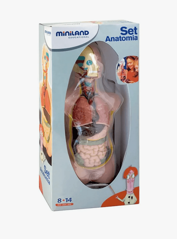 Miniland Anatomisett 11 Deler, Lær om Menneskekroppen
